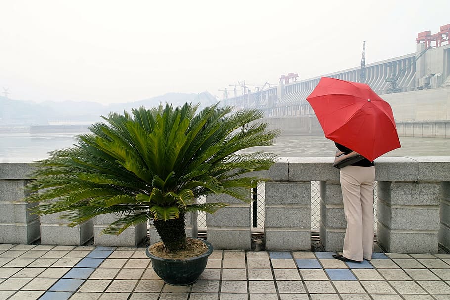 red, screen, dam, plant, shade tree, parasol, protection, umbrella HD wallpaper