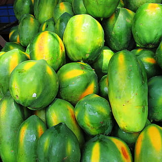 papaya, fruit, green, tropical, exotic, heap, malebennur, india HD wallpaper