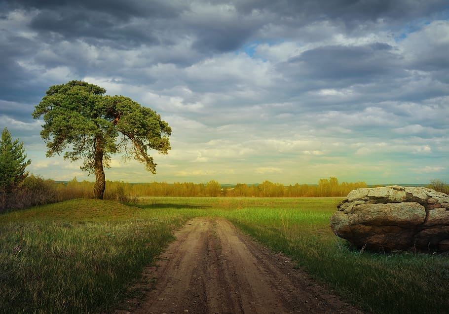 brown dirt road between green fields, forest, landscape, nature HD wallpaper