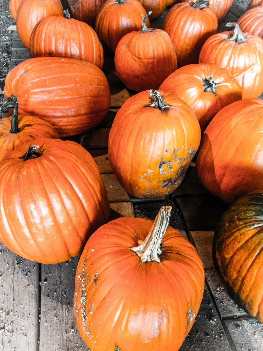 halloween, pumpkins, autumn, fall, orange, october, harvest HD wallpaper