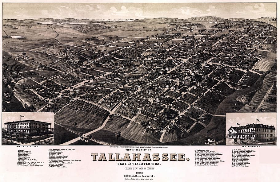 Tallahassee Cityscape in Florida in 1885, photos, landscape, public domain HD wallpaper