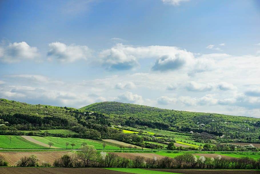 scenery of plain field, nature, panorama, fields, forest, agriculture HD wallpaper