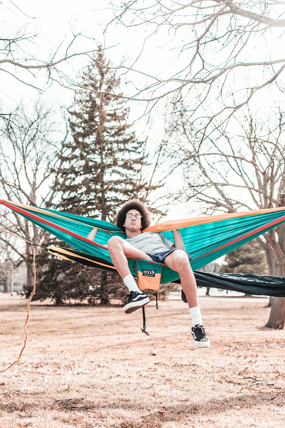 man sitting on teal hammock with withered trees on corner, man in gray shirt lying on green hammock during daytime HD wallpaper