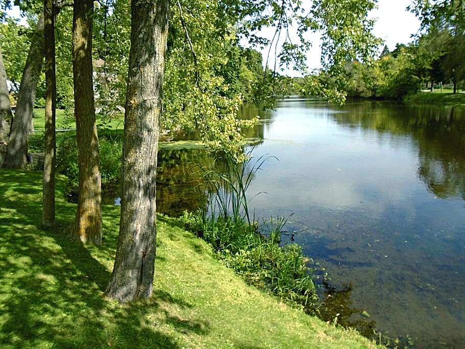 Nature, River, Water, Green, Tree, landscape, sunlight, summer HD wallpaper