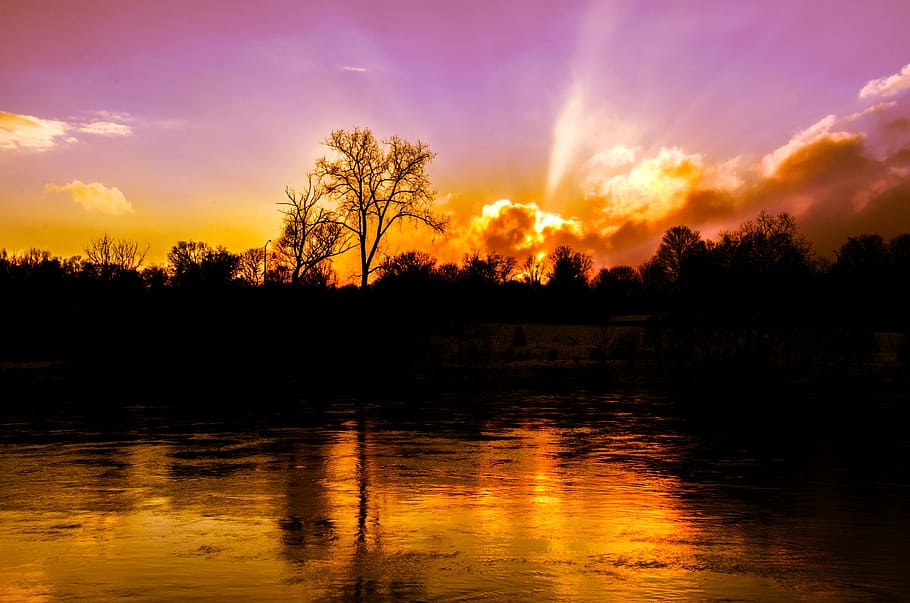 silhouette of trees near body of water, sunset, twilight, sunlight HD wallpaper