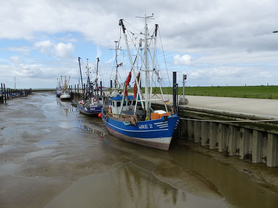 ebb, fishing vessel, port, nautical vessel, transportation HD wallpaper