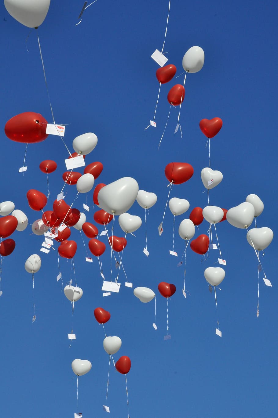 Sky, Balloons, blue, celebration, large group of objects, helium balloon HD wallpaper