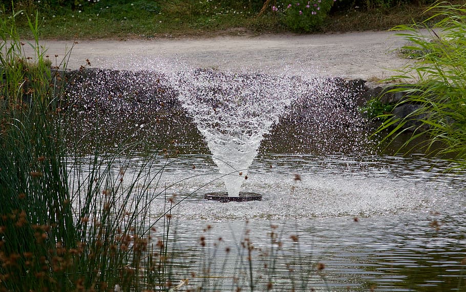 fountain, park, garden, nature, spring, water, plant, motion HD wallpaper