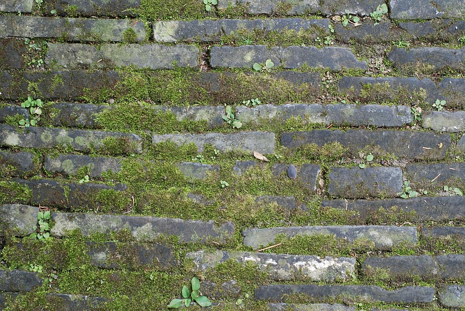 ground, brick, moss, full frame, backgrounds, wall, no people HD wallpaper