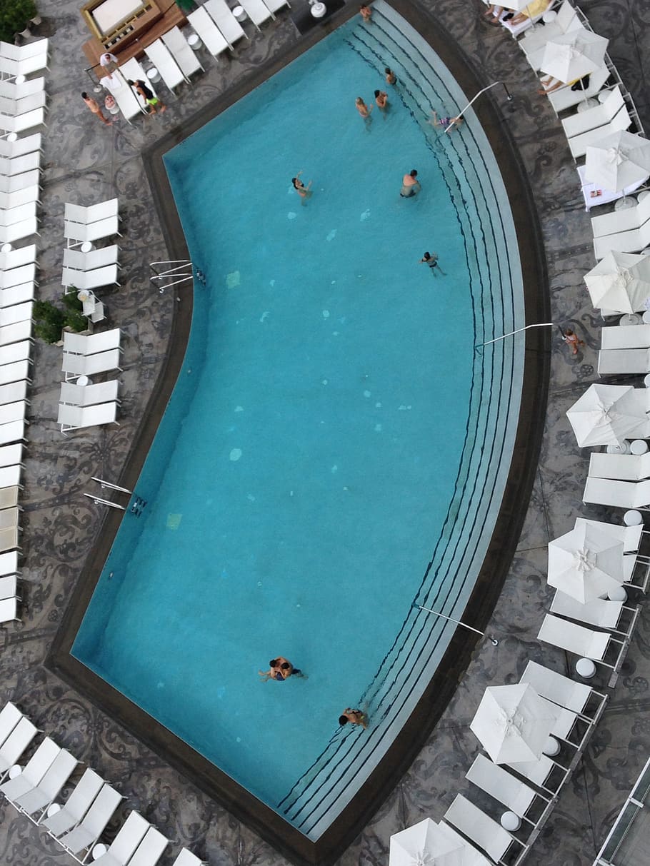 swimming pool, big, miami beach, hotel, top plan view, superior view, HD wallpaper
