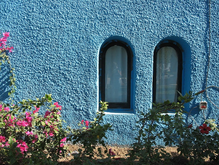 windows, wall, egypt, blue, tropical, built structure, building exterior HD wallpaper
