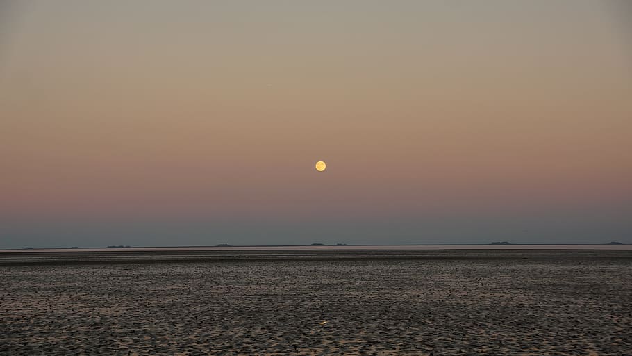 Sea, Low Tide, Evening, intertidal tone, night, moon, moon rise HD wallpaper