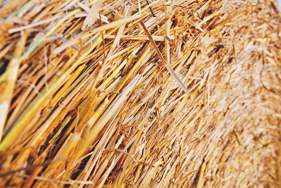 haystack, farm, backgrounds, full frame, close-up, no people HD wallpaper