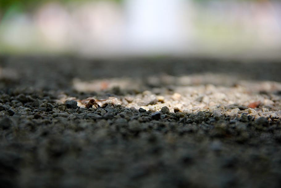 pebble, away, steinchen, selective focus, no people, close-up HD wallpaper