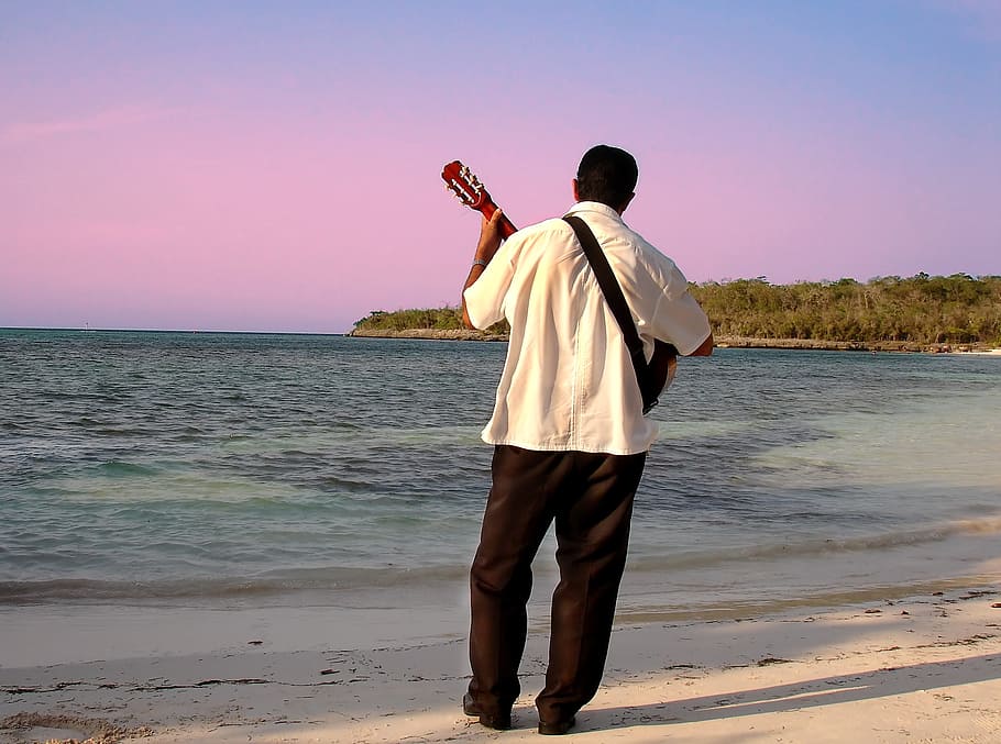 musician, beach, time, water, rear view, sea, land, real people HD wallpaper