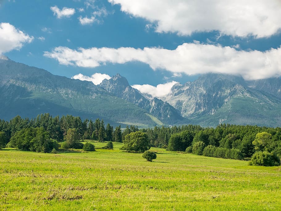 nature, trees, forests, tatry, mountains, meadow, country, the sky HD wallpaper