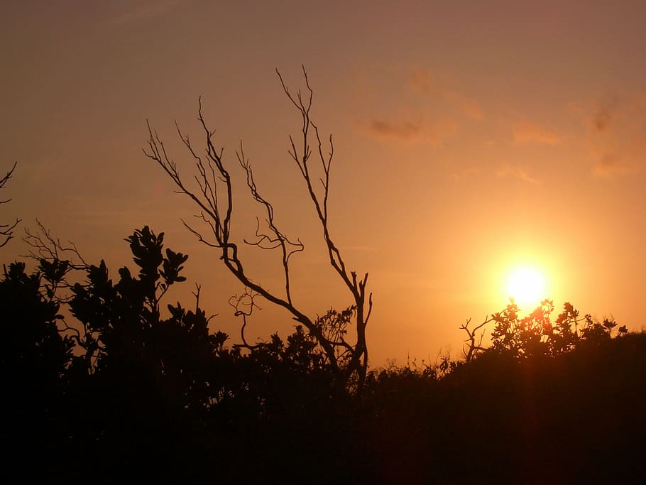 abendstimmung, romance, sky, sunset, orange, lighting, nature HD wallpaper