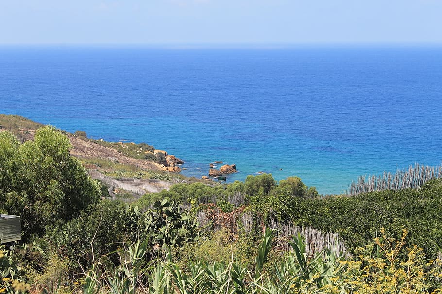 coast, gozo, mediterranean, trees, sea, beach, ocean, blue HD wallpaper