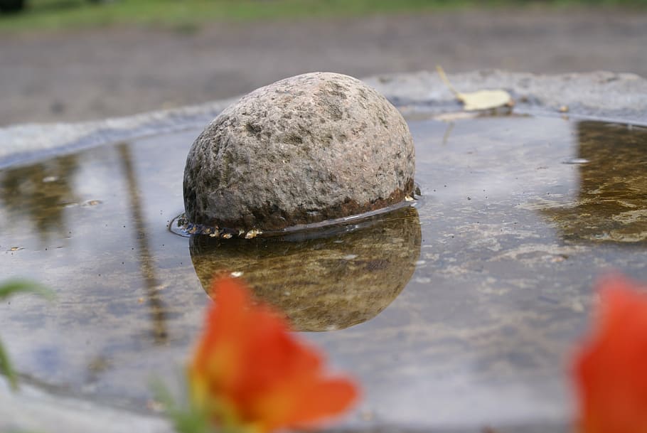 stone, water, nature, wet, the stones, reflection, selective focus HD wallpaper