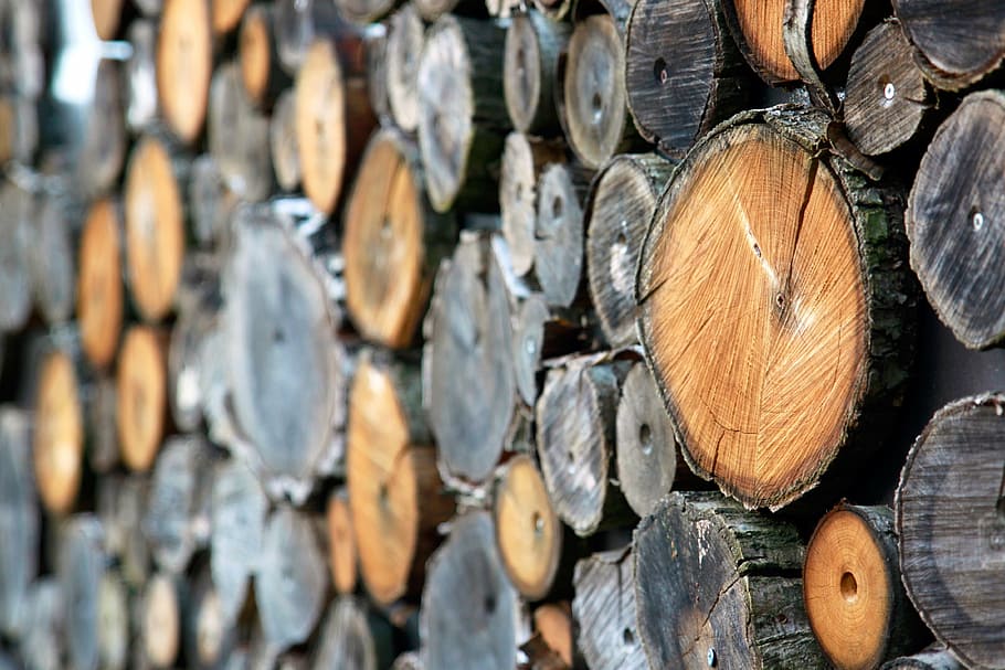 brown wooden logs, holzstapel, combs thread cutting, firewood, HD wallpaper