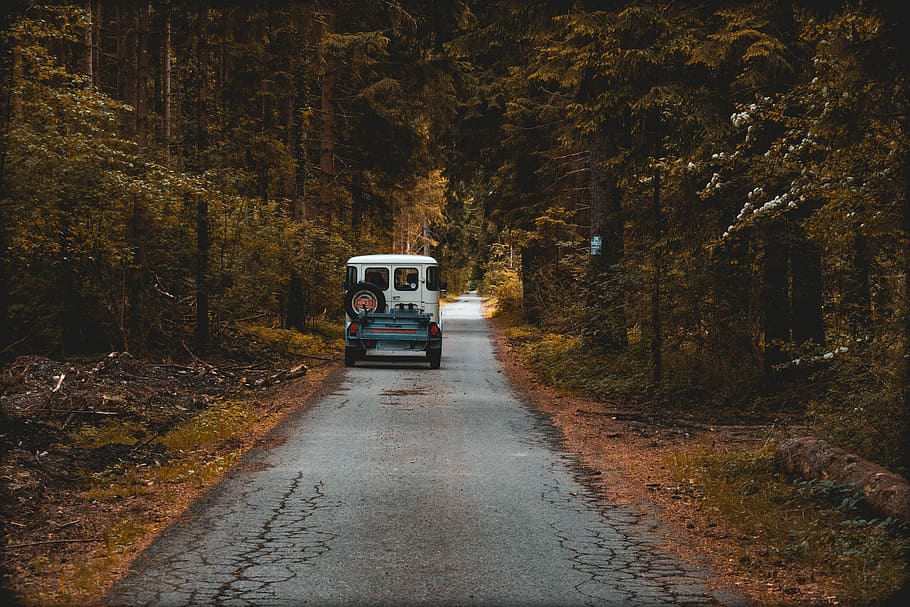 white vehicle on pavement surrounded by forest, white and blue car driving in middle of road during daytime HD wallpaper