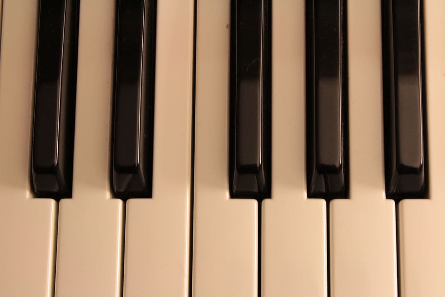piano, plan, keyboard, notes, musical instruments, keys, pianola HD wallpaper