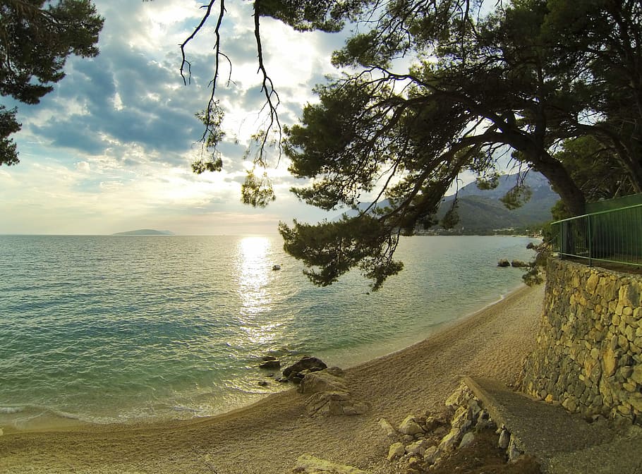 Sea, Tree, Beach, Pavement, Stairs, stones, wall, clouds, sky, HD wallpaper