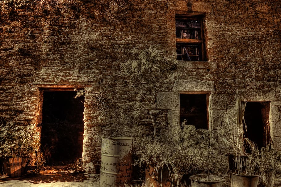 Wall, Old, Bricks, Stones, Medieval, night, plant, former, light HD wallpaper