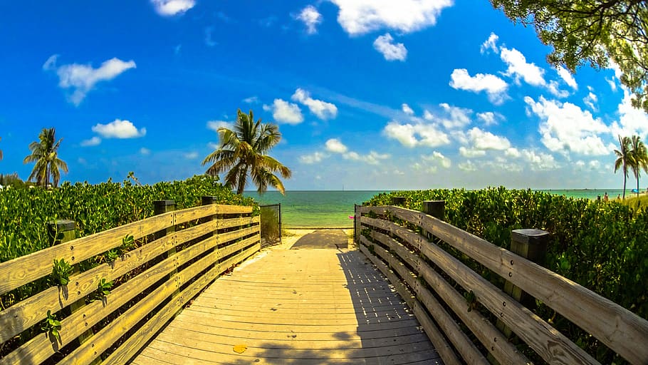 brown wooden dock near ocean under white clouds during daytime HD wallpaper