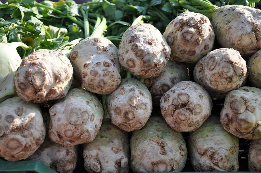 vegetables, celery, food, food and drink, freshness, healthy eating HD wallpaper