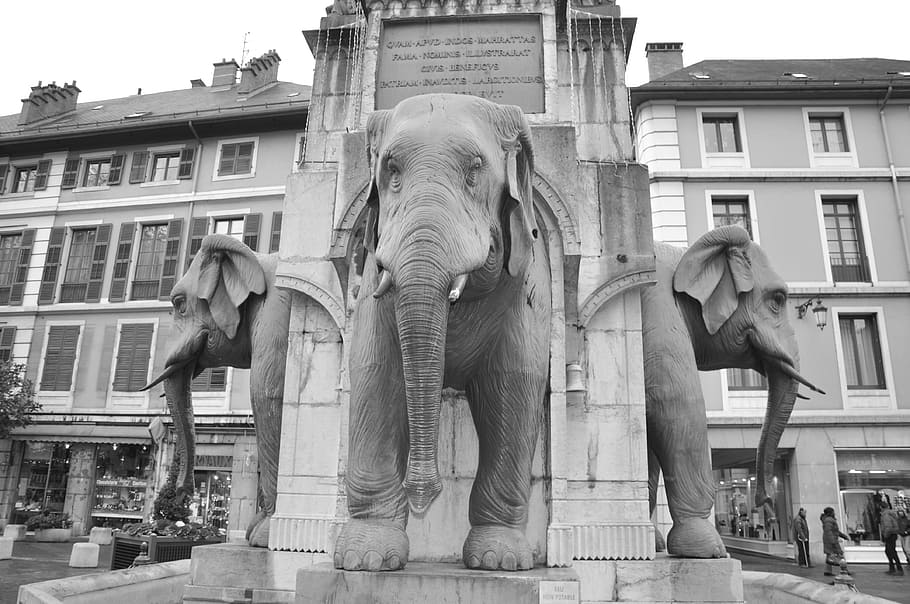 low angle photo of concrete elephant statues near building at daytime HD wallpaper