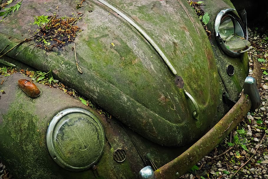 auto, car cemetery, oldtimer, rust, stainless karre, rusted HD wallpaper
