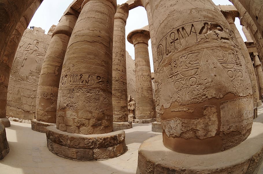 columns, egypt, egyptian, pillars, hieroglyphics, ancient, history HD wallpaper