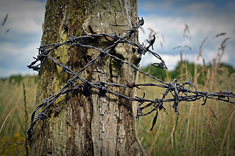 fence post, wood pile, wire, wooden posts, caution, agriculture HD wallpaper