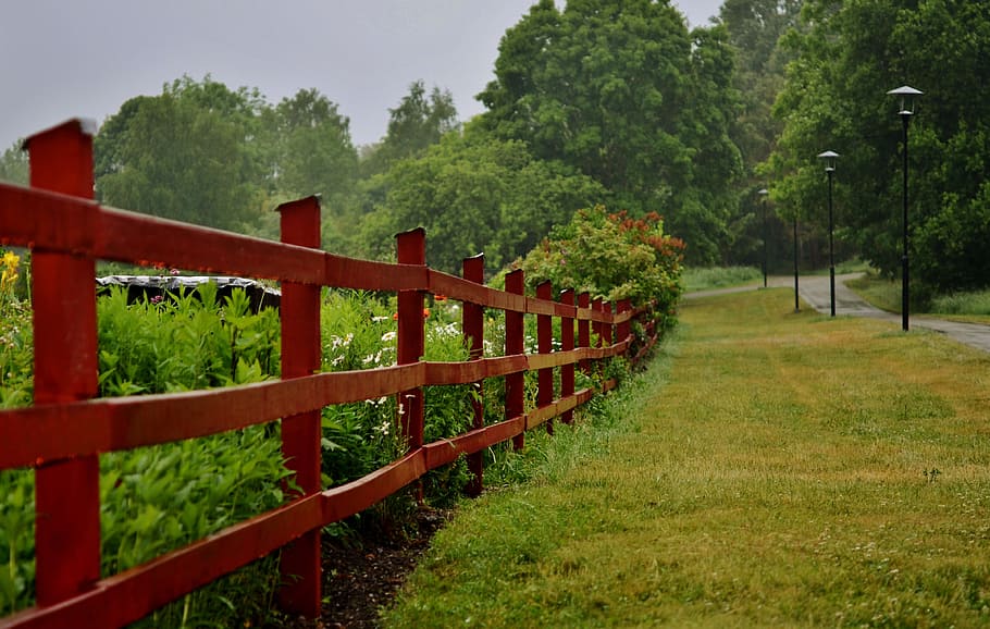 fence, forest, natur, landscape, natural, green, summer, tree HD wallpaper