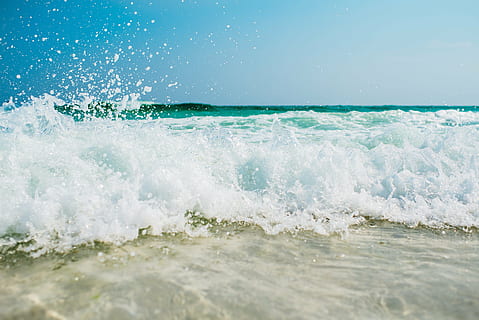 green and white trees painting, water wave photography, beach HD wallpaper
