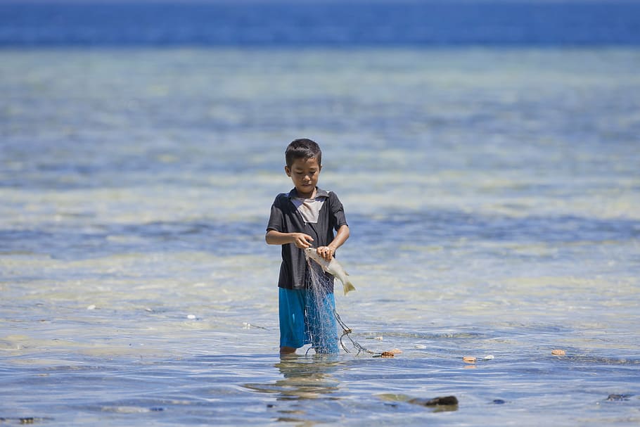 boy catching fish on body of water at daytime, fishing, halmahera, HD wallpaper