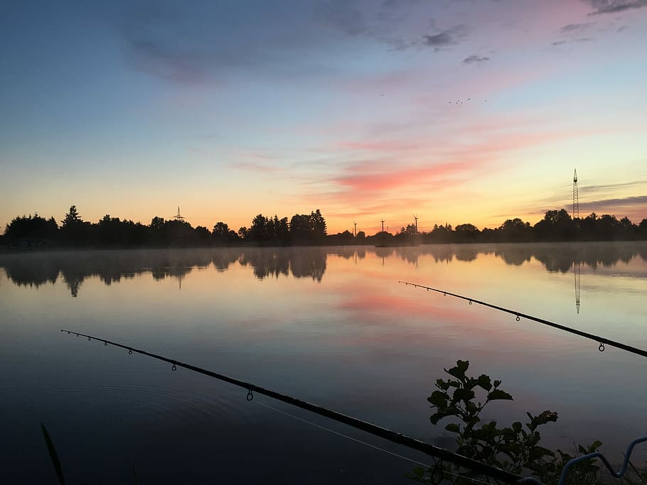 Kiel, Fish, Sunrise, nature, lake, reflection, sunset, water, HD wallpaper