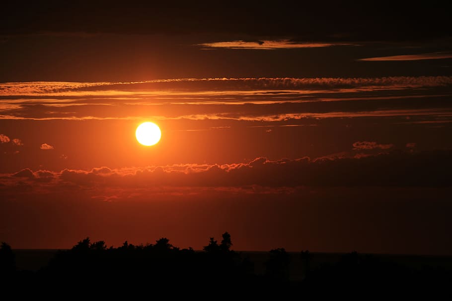 sunset and silhouette of trees, focus photography of sun surrounded by clouds HD wallpaper