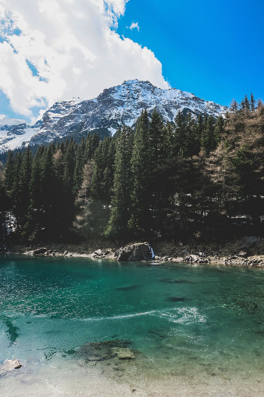 river, water, rocks, coast, nature, trees, plants, landscape HD wallpaper