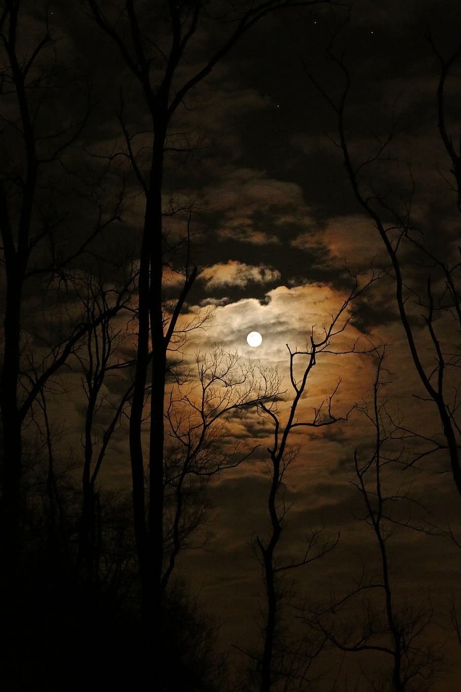 worm's eye view of full moon during night time, dark, spooky, HD wallpaper