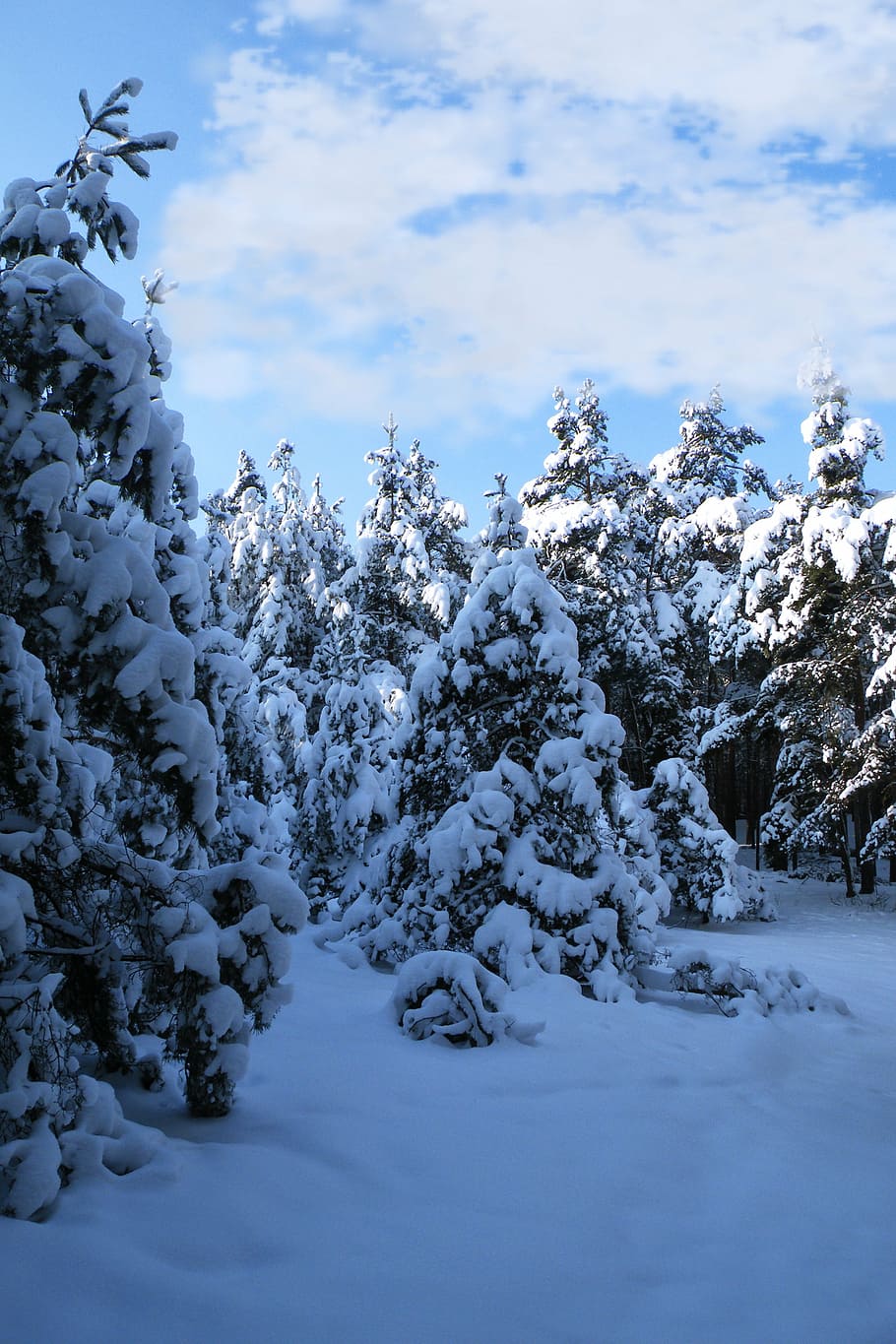 winter impressions, wintry, snow, cold, winter magic, snowy HD wallpaper