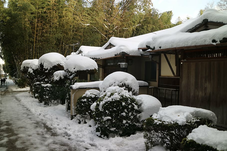 snow, lanshan, log cabin, winter, cold - Temperature, outdoors HD wallpaper