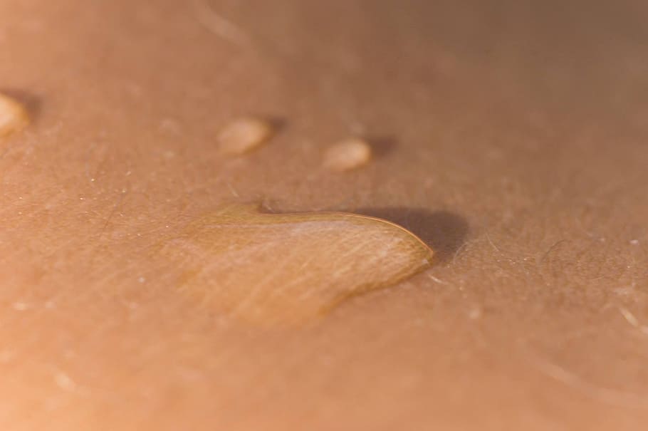 drip, skin, close, macro, selective focus, no people, close-up HD wallpaper