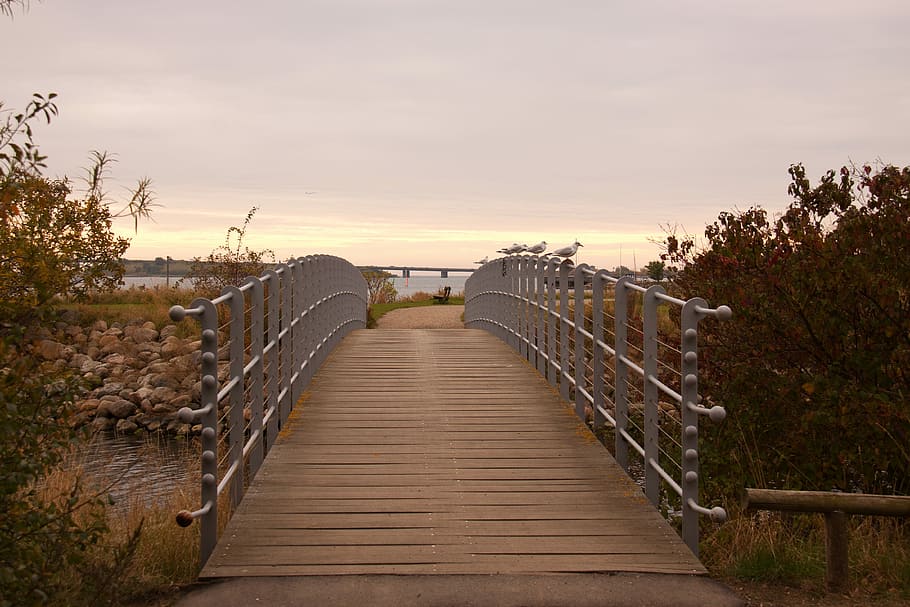 Bridge, Harbour, Path, fench, autumn, denmark, hvidovre, cloudscape, HD wallpaper