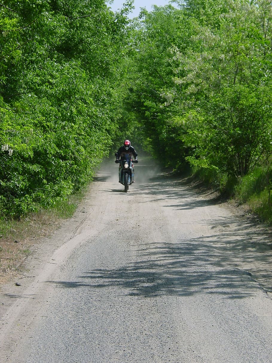 Power, Engine, Vehicle, Forest, Path, dirt road, motorcycling HD wallpaper