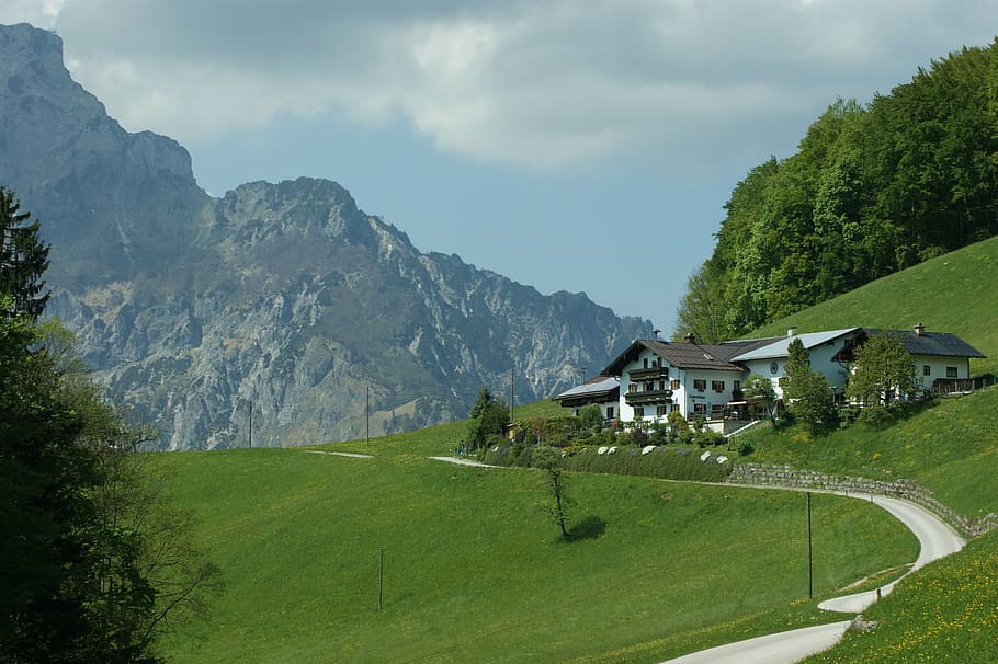 berchtesgardener, land, schefau, plant, mountain, tree, sky HD wallpaper