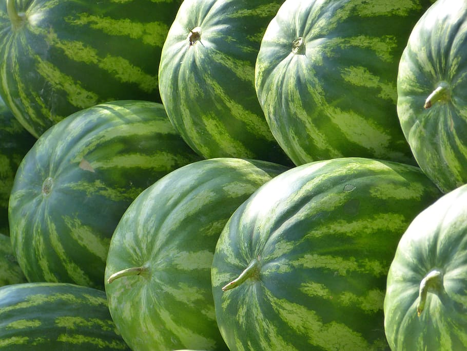 green watermelon, melons, water melons, fruit, food and drink, HD wallpaper