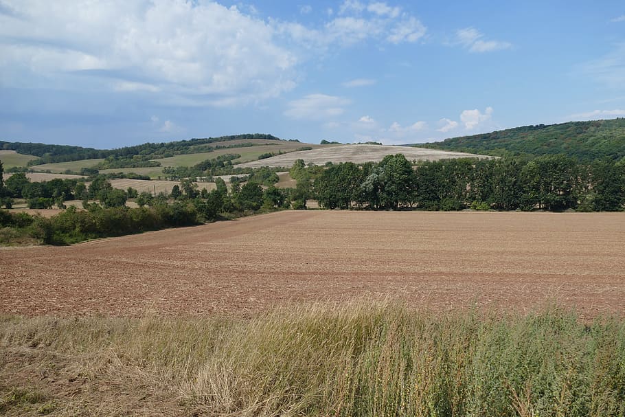 Panorama, Arable, Field, Landscape, nature, agriculture, clouds HD wallpaper