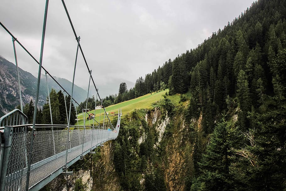 Hängebrücke in Österreich II, empty footbridge leading to forest HD wallpaper